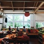 vg-store-1-opt